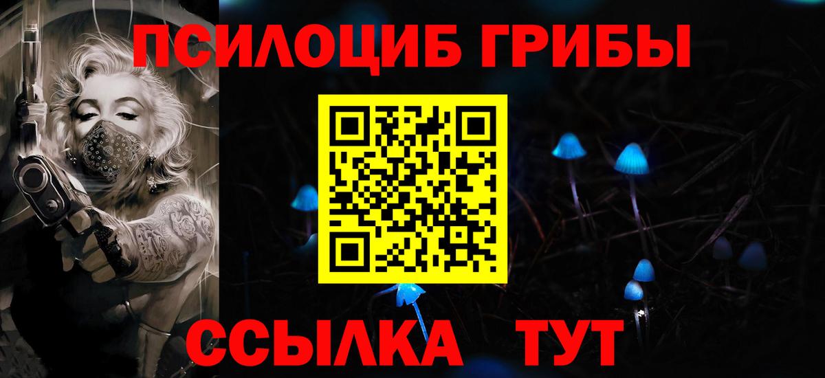 Галлюциногенные грибы Psilocybe Дедовск