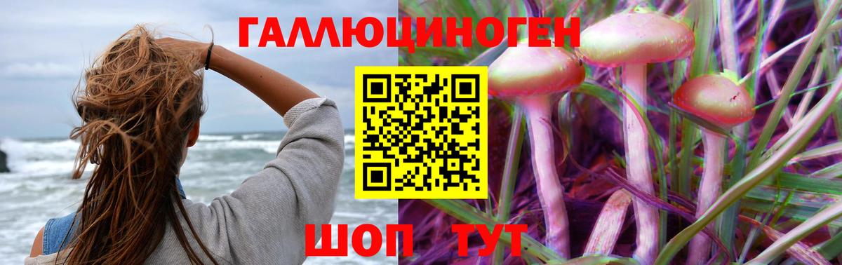 Псилоцибиновые грибы GOLDEN TEACHER  Вход с VPN  Дедовск 